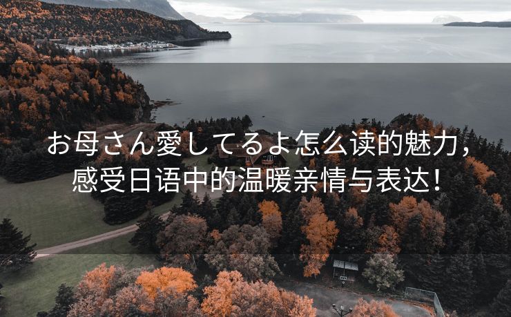 お母さん愛してるよ怎么读的魅力，感受日语中的温暖亲情与表达！