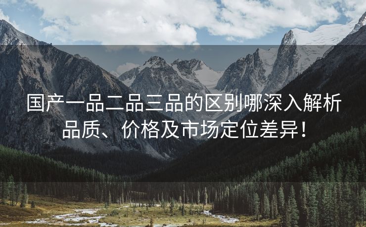 国产一品二品三品的区别哪深入解析品质、价格及市场定位差异！