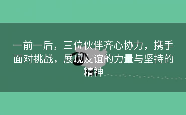 一前一后，三位伙伴齐心协力，携手面对挑战，展现友谊的力量与坚持的精神