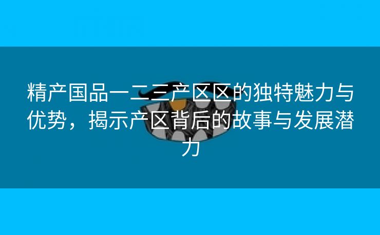 精产国品一二三产区区的独特魅力与优势，揭示产区背后的故事与发展潜力