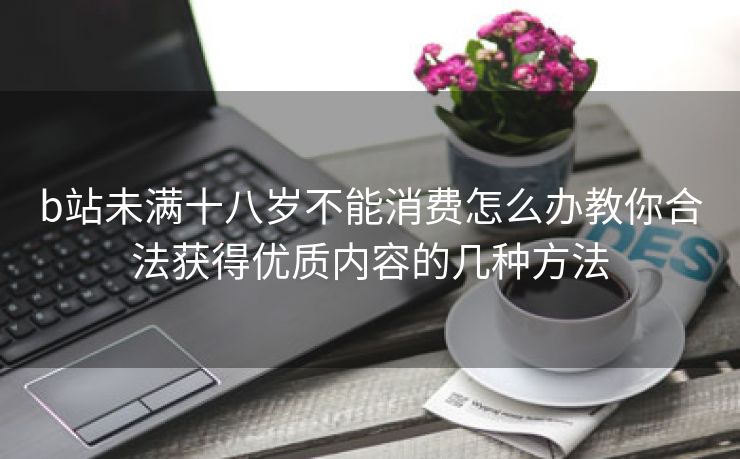 b站未满十八岁不能消费怎么办教你合法获得优质内容的几种方法