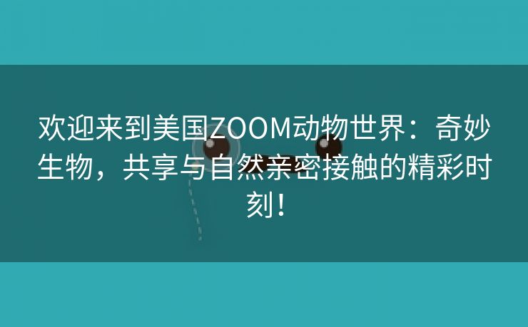 欢迎来到美国ZOOM动物世界：奇妙生物，共享与自然亲密接触的精彩时刻！