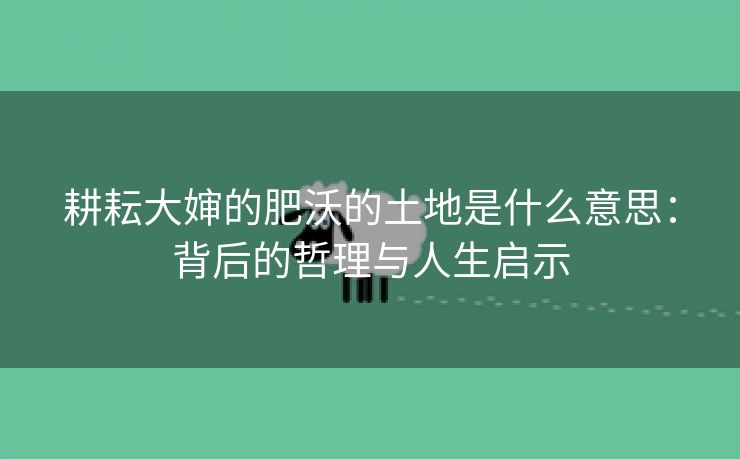 耕耘大婶的肥沃的土地是什么意思：背后的哲理与人生启示