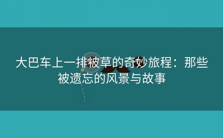 大巴车上一排被草的奇妙旅程：那些被遗忘的风景与故事