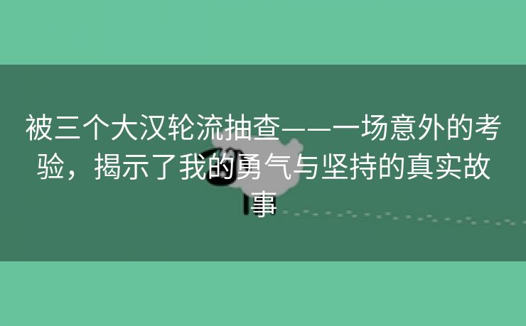 被三个大汉轮流抽查——一场意外的考验，揭示了我的勇气与坚持的真实故事