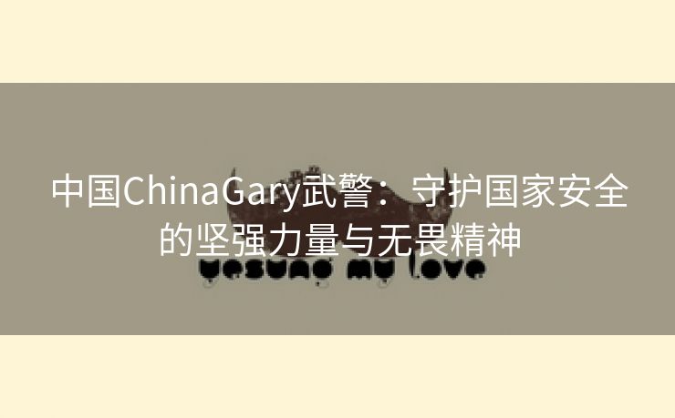 中国ChinaGary武警：守护国家安全的坚强力量与无畏精神