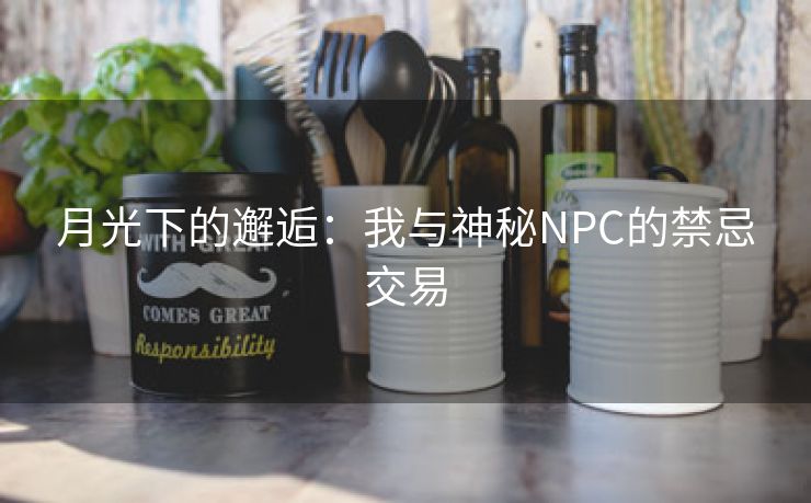 月光下的邂逅：我与神秘NPC的禁忌交易