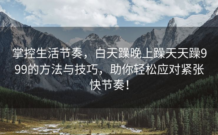 掌控生活节奏，白天躁晚上躁天天躁999的方法与技巧，助你轻松应对紧张快节奏！