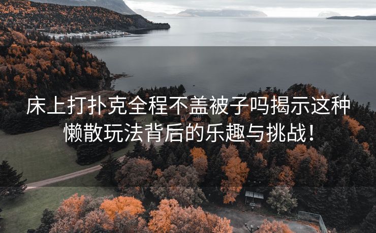 床上打扑克全程不盖被子吗揭示这种懒散玩法背后的乐趣与挑战！