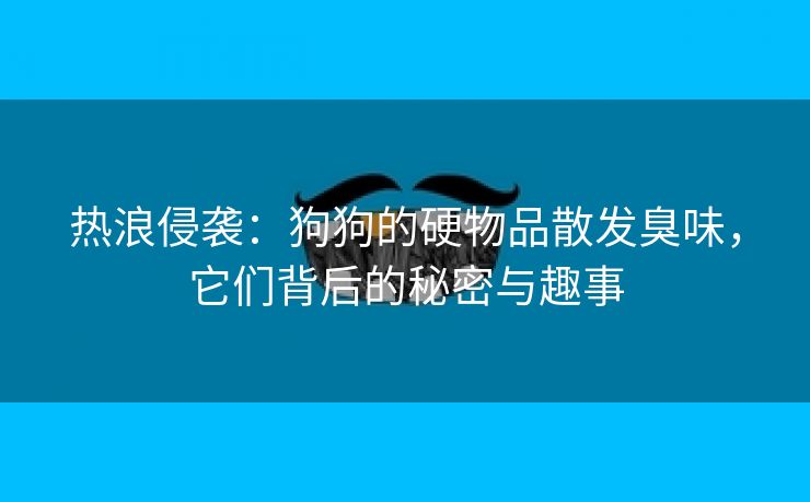 热浪侵袭：狗狗的硬物品散发臭味，它们背后的秘密与趣事