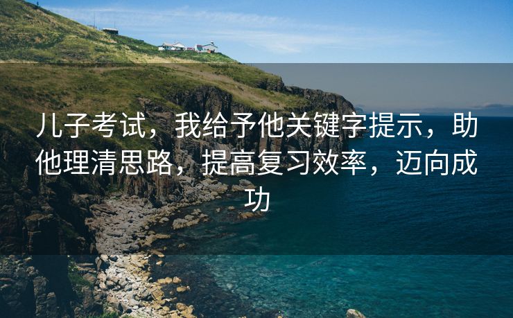 儿子考试，我给予他关键字提示，助他理清思路，提高复习效率，迈向成功