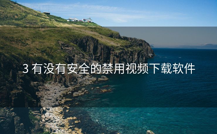 3 有没有安全的禁用视频下载软件