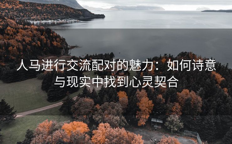 人马进行交流配对的魅力：如何诗意与现实中找到心灵契合