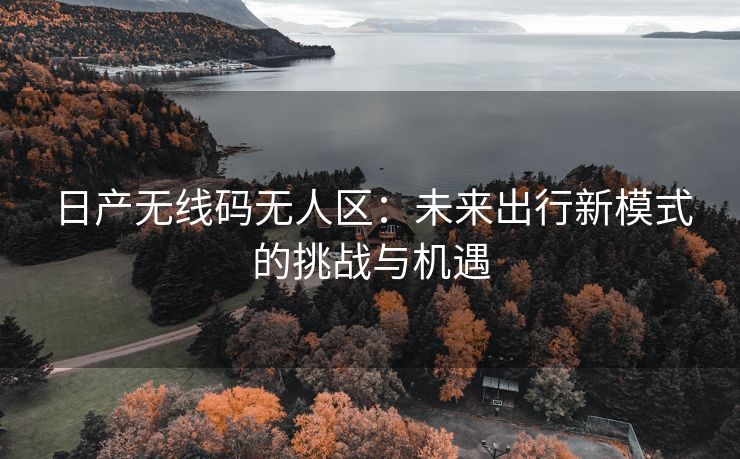 日产无线码无人区：未来出行新模式的挑战与机遇