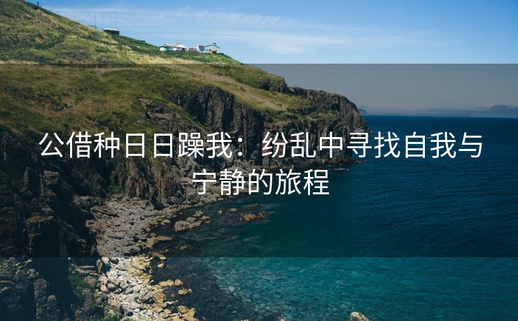 公借种日日躁我：纷乱中寻找自我与宁静的旅程