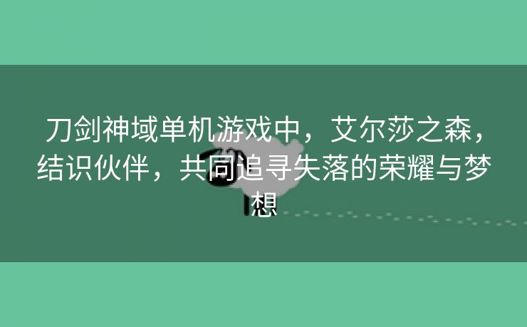 刀剑神域单机游戏中，艾尔莎之森，结识伙伴，共同追寻失落的荣耀与梦想