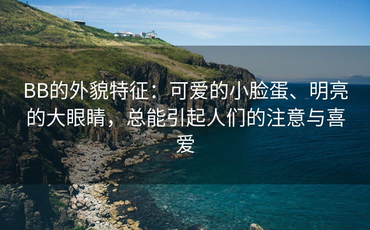 BB的外貌特征：可爱的小脸蛋、明亮的大眼睛，总能引起人们的注意与喜爱