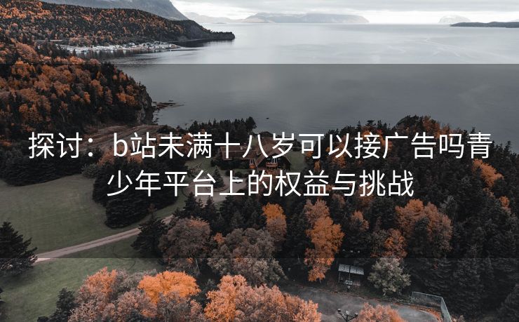 探讨：b站未满十八岁可以接广告吗青少年平台上的权益与挑战