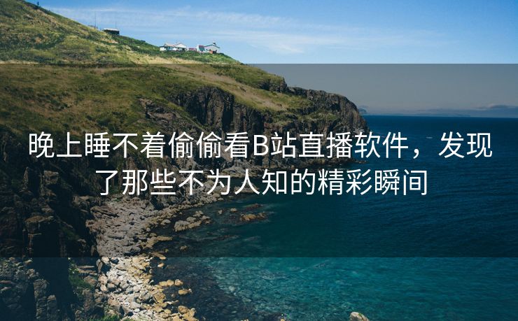 晚上睡不着偷偷看B站直播软件，发现了那些不为人知的精彩瞬间