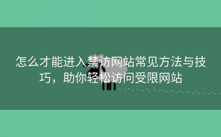 怎么才能进入禁访网站常见方法与技巧，助你轻松访问受限网站