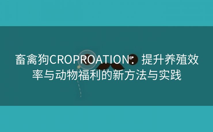 畜禽狗CROPROATION：提升养殖效率与动物福利的新方法与实践