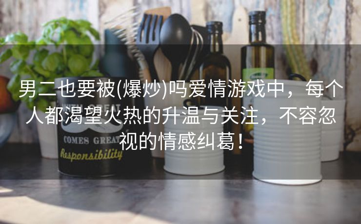 男二也要被(爆炒)吗爱情游戏中，每个人都渴望火热的升温与关注，不容忽视的情感纠葛！