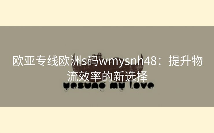 欧亚专线欧洲s码wmysnh48：提升物流效率的新选择