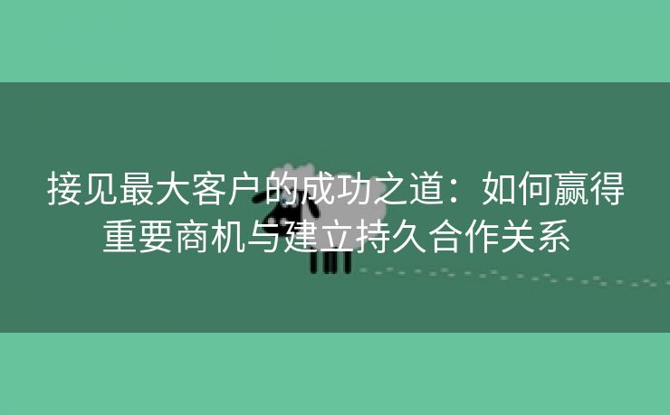 接见最大客户的成功之道：如何赢得重要商机与建立持久合作关系