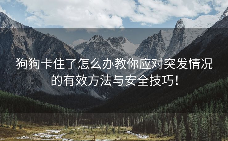 狗狗卡住了怎么办教你应对突发情况的有效方法与安全技巧！