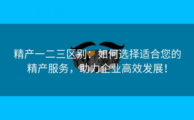 精产一二三区别：如何选择适合您的精产服务，助力企业高效发展！