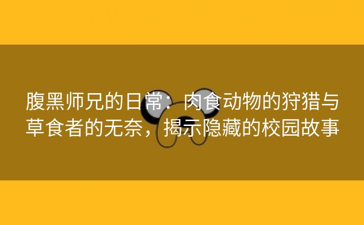 腹黑师兄的日常：肉食动物的狩猎与草食者的无奈，揭示隐藏的校园故事