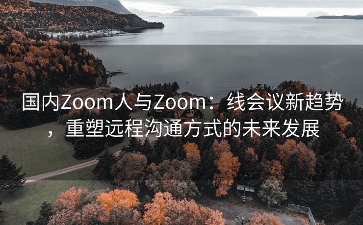 国内Zoom人与Zoom：线会议新趋势，重塑远程沟通方式的未来发展