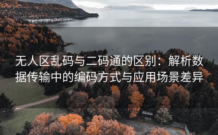 无人区乱码与二码通的区别：解析数据传输中的编码方式与应用场景差异