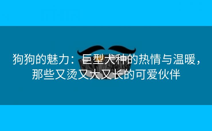 狗狗的魅力：巨型犬种的热情与温暖，那些又烫又大又长的可爱伙伴