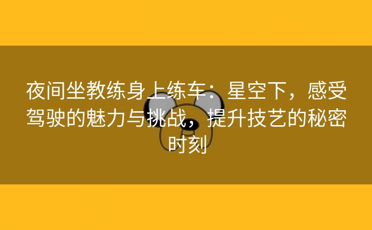 夜间坐教练身上练车：星空下，感受驾驶的魅力与挑战，提升技艺的秘密时刻