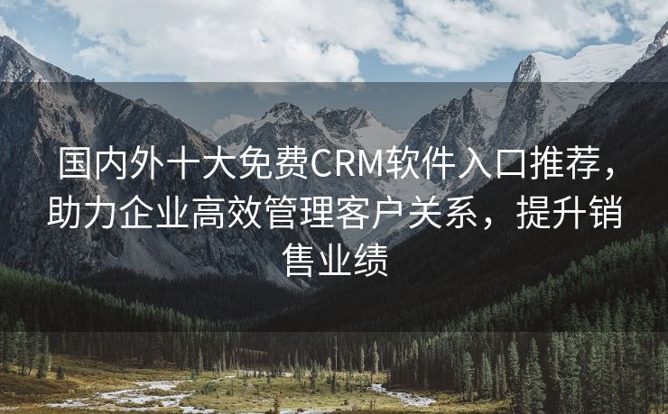 国内外十大免费CRM软件入口推荐，助力企业高效管理客户关系，提升销售业绩