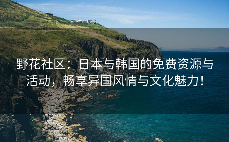 野花社区：日本与韩国的免费资源与活动，畅享异国风情与文化魅力！