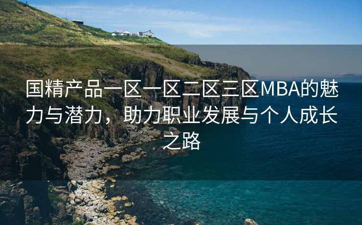 国精产品一区一区二区三区MBA的魅力与潜力，助力职业发展与个人成长之路