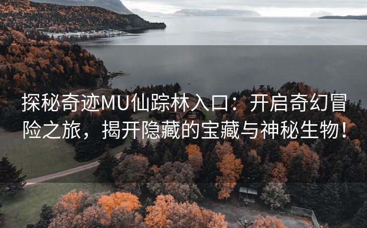 探秘奇迹MU仙踪林入口：开启奇幻冒险之旅，揭开隐藏的宝藏与神秘生物！