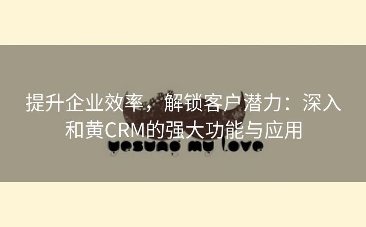 提升企业效率，解锁客户潜力：深入和黄CRM的强大功能与应用