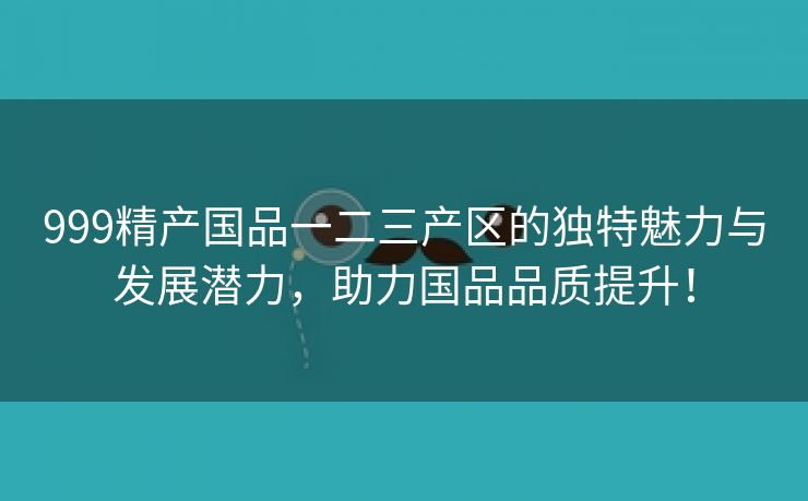 999精产国品一二三产区的独特魅力与发展潜力，助力国品品质提升！