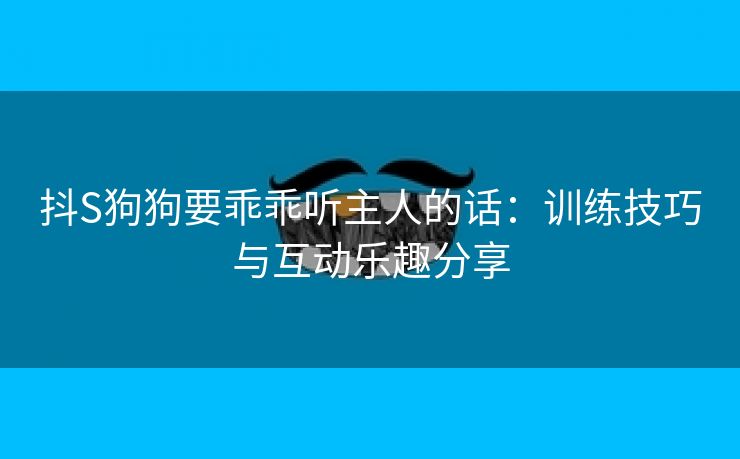 抖S狗狗要乖乖听主人的话：训练技巧与互动乐趣分享