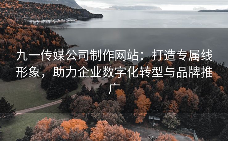 九一传媒公司制作网站：打造专属线形象，助力企业数字化转型与品牌推广