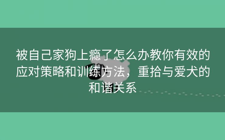 被自己家狗上瘾了怎么办教你有效的应对策略和训练方法，重拾与爱犬的和谐关系