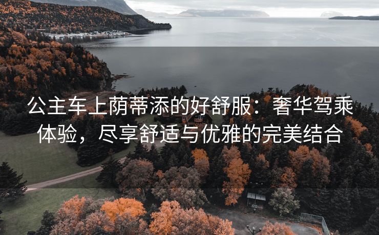 公主车上荫蒂添的好舒服：奢华驾乘体验，尽享舒适与优雅的完美结合