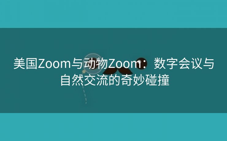 美国Zoom与动物Zoom：数字会议与自然交流的奇妙碰撞