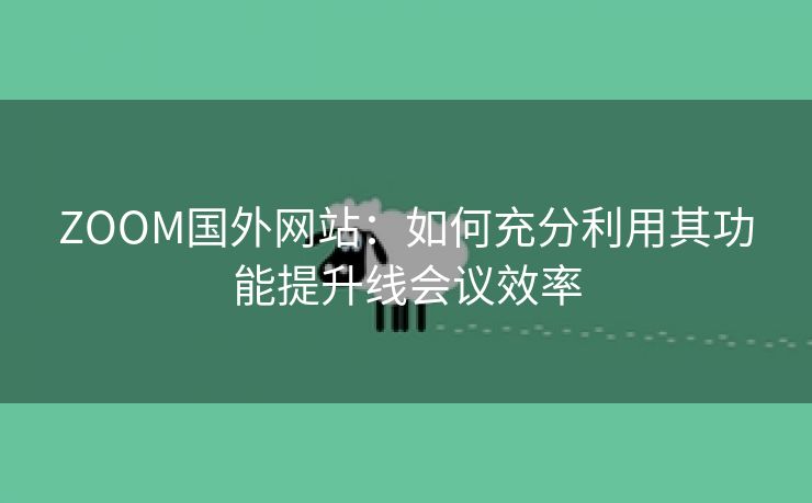 ZOOM国外网站：如何充分利用其功能提升线会议效率