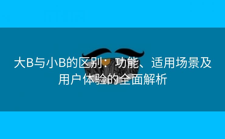 大B与小B的区别：功能、适用场景及用户体验的全面解析