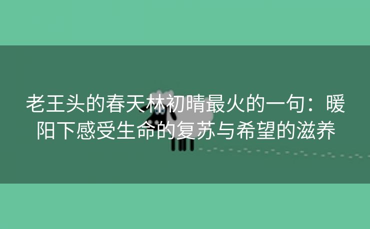 老王头的春天林初晴最火的一句：暖阳下感受生命的复苏与希望的滋养