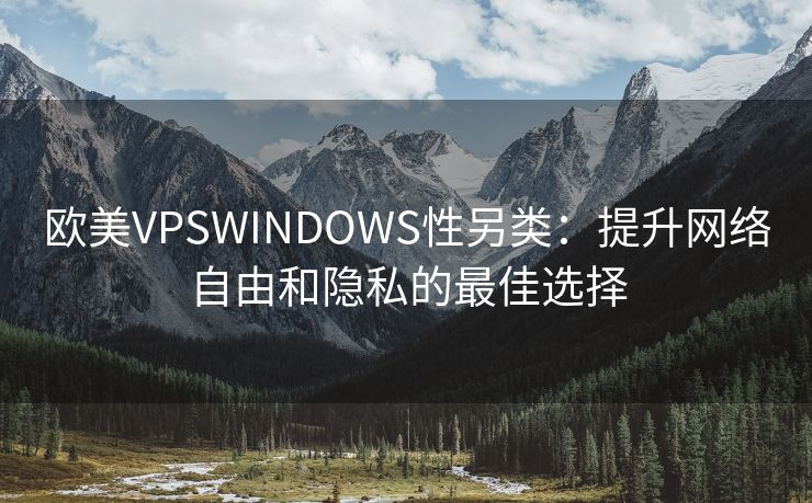 欧美VPSWINDOWS性另类：提升网络自由和隐私的最佳选择